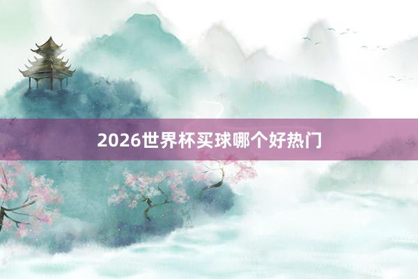 2026世界杯买球哪个好热门