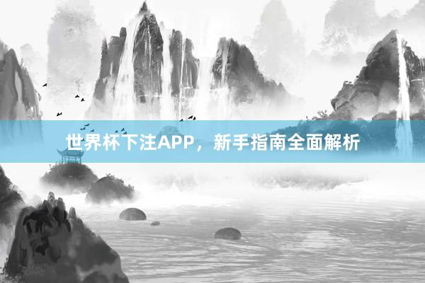 世界杯下注APP，新手指南全面解析