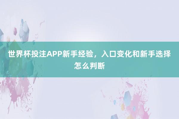 世界杯投注APP新手经验，入口变化和新手选择怎么判断